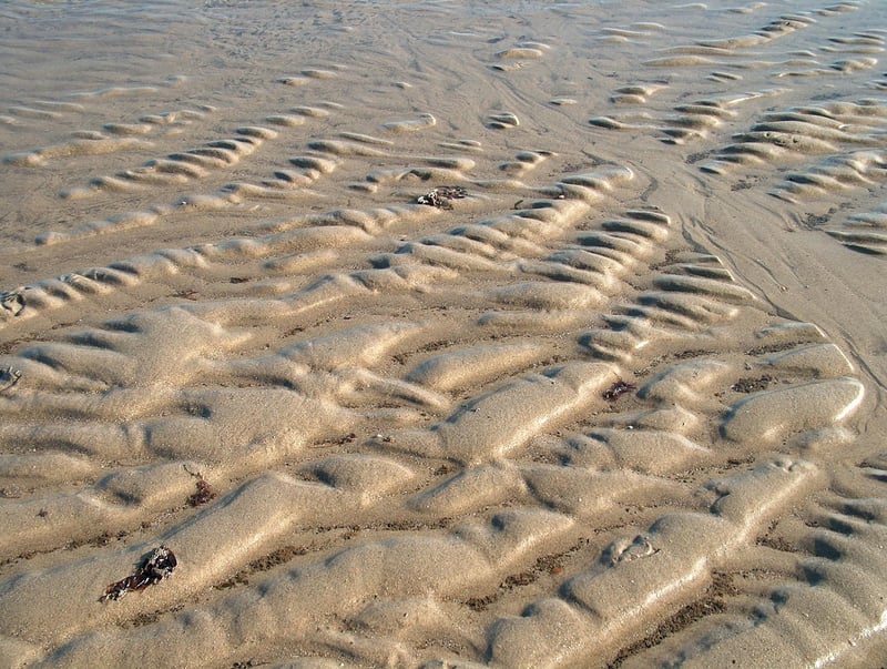 The Power of Habit Book Cover